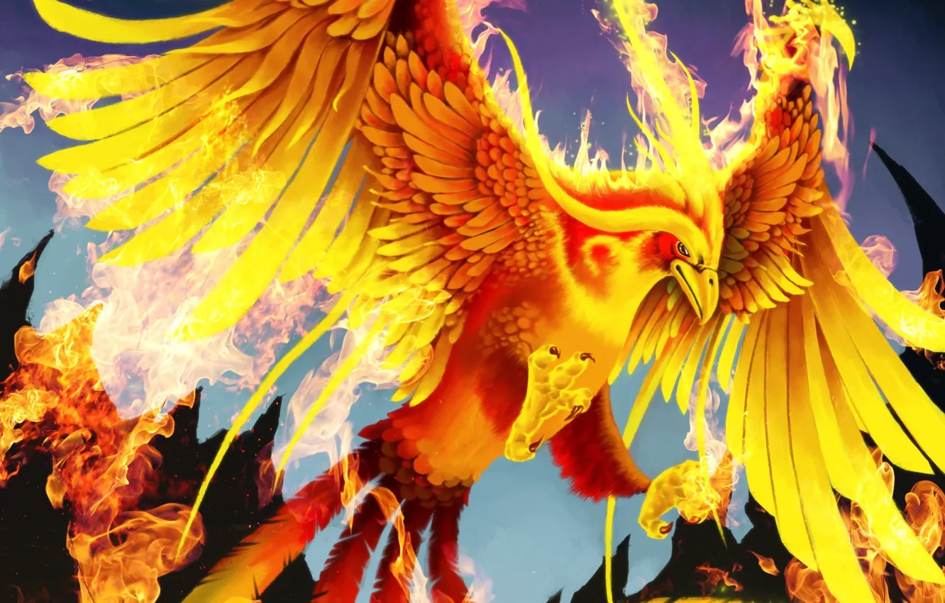 Фото обои огонь, птица, крылья, арт, хвост, феникс