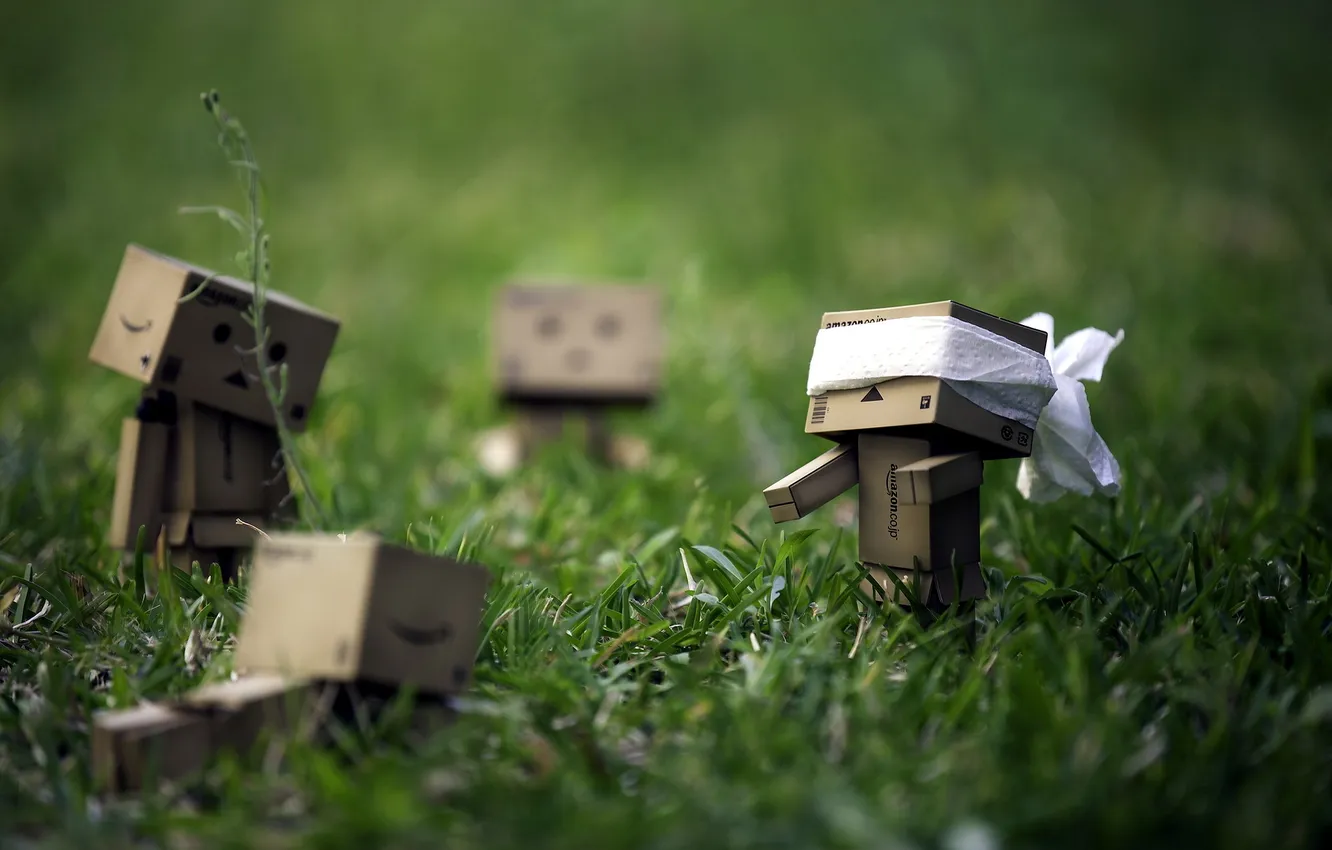 Фото обои трава, настроение, игра, коробки, amazon