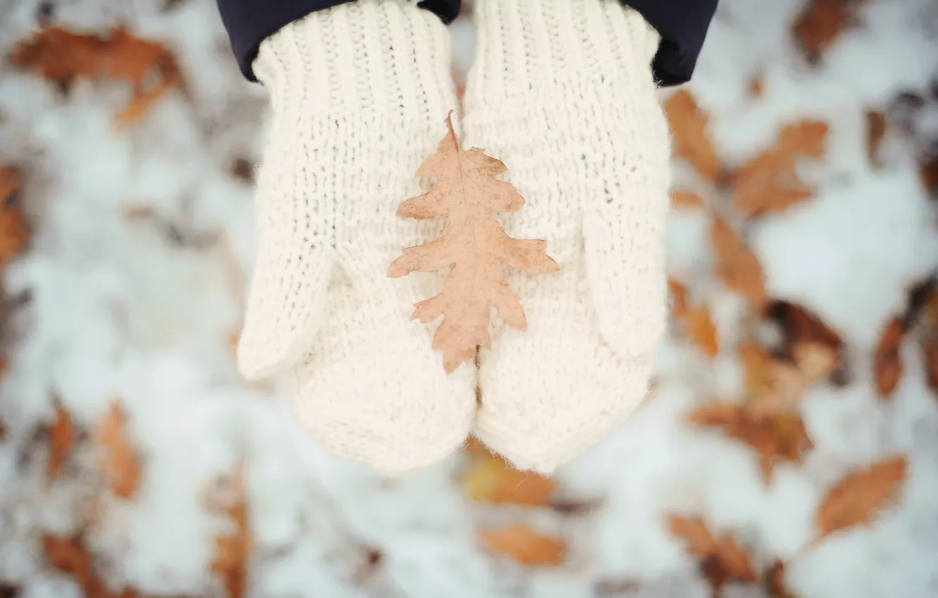Фото обои зима, снег, листок, руки, белые, варежки, вязка