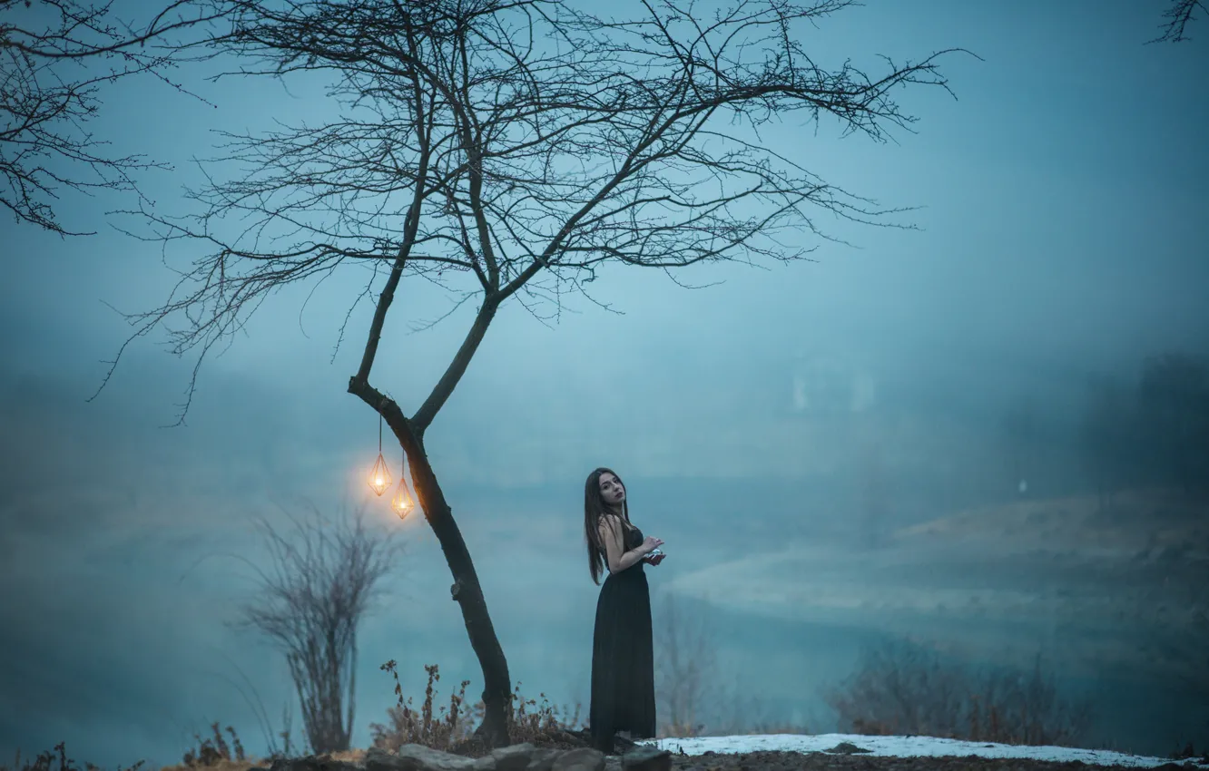 Фото обои girl, dress, tree, fog, hair, lamps