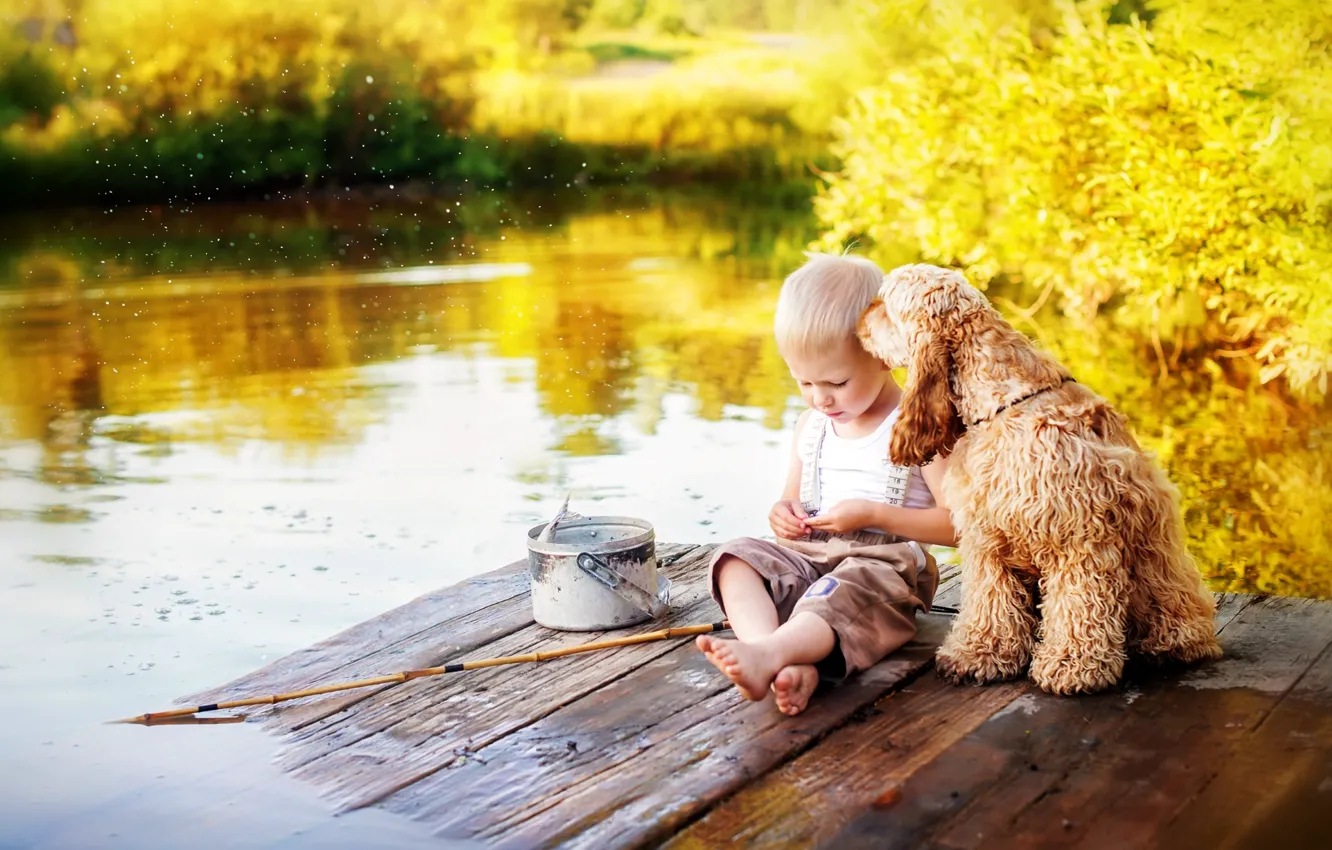 Фото обои лето, вода, детство, река, рыбалка, собака, рыбак, мальчик