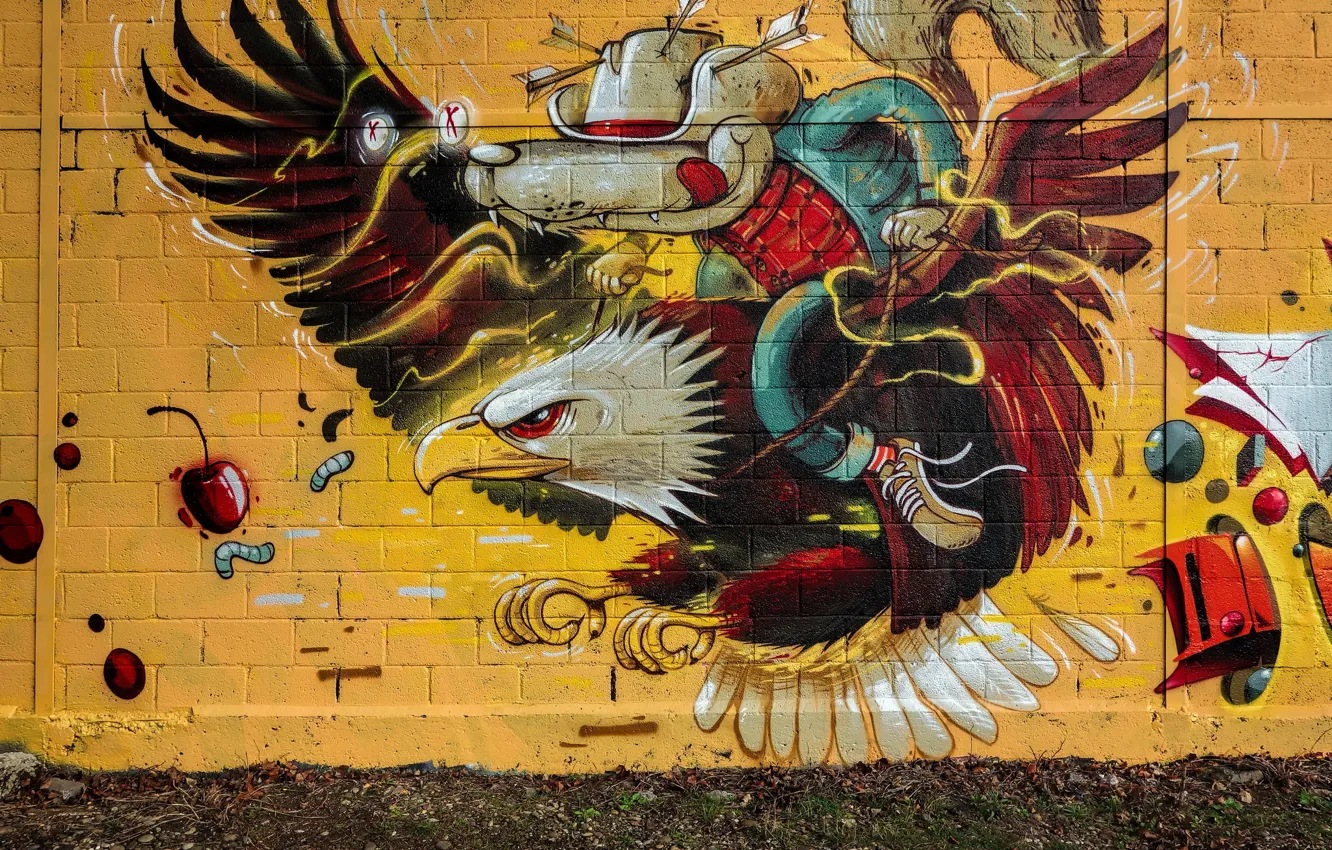 Фото обои стена, орёл, графити