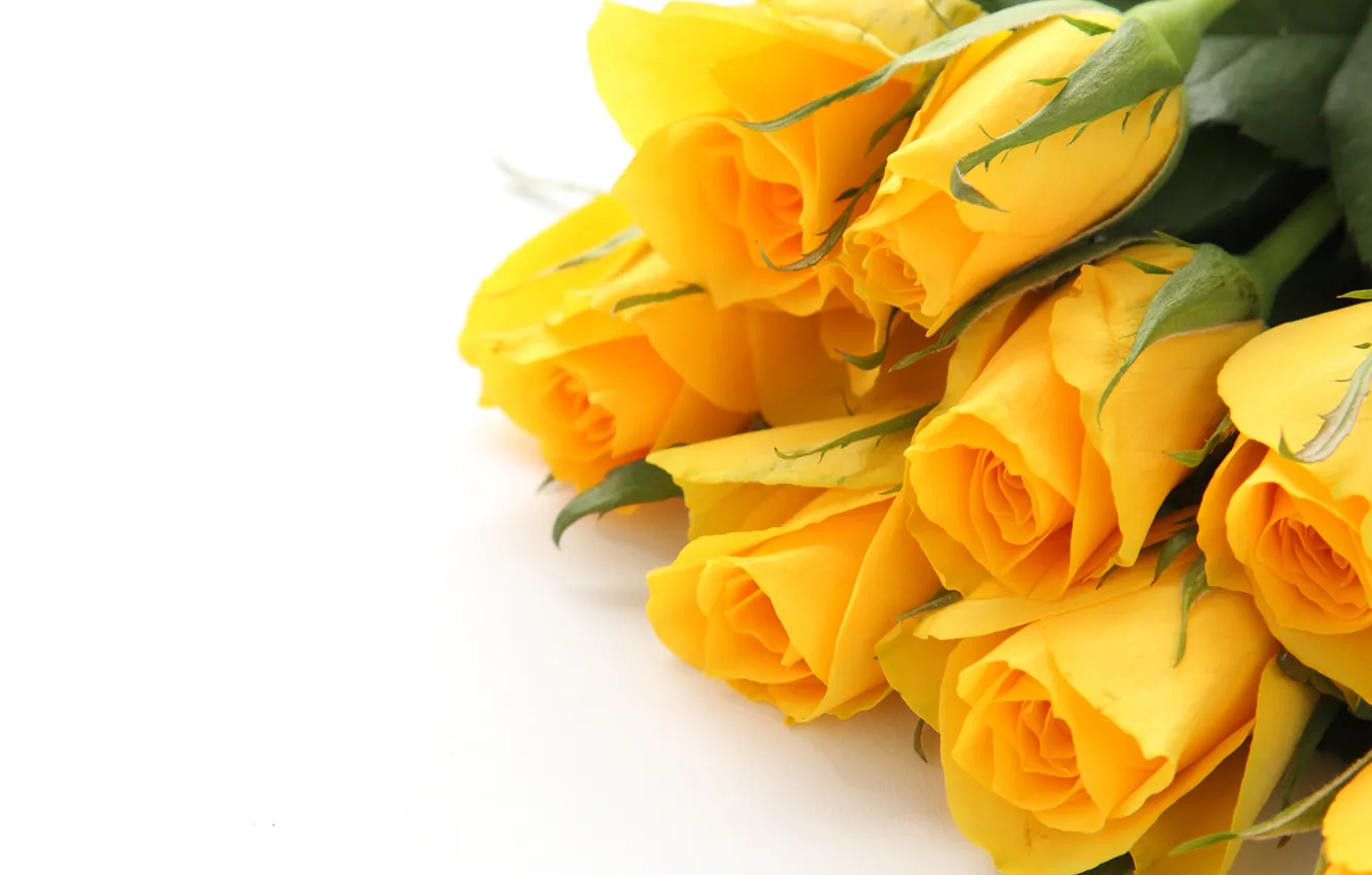 Фото обои розы, букет, желтые, Iryna Melnyk