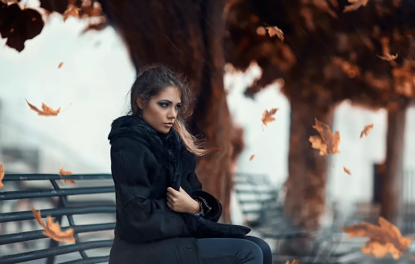Фото обои холод, листья, девушка, ветер, Alessandro Di Cicco, Cold Autumn