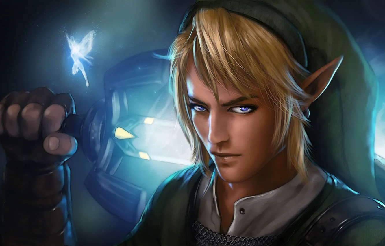 Фото обои взгляд, эльф, меч, фея, парень, The Legend of Zelda, Link