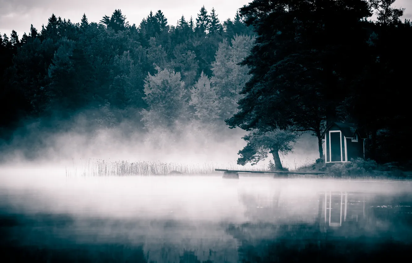 Фото обои туман, озеро, утро