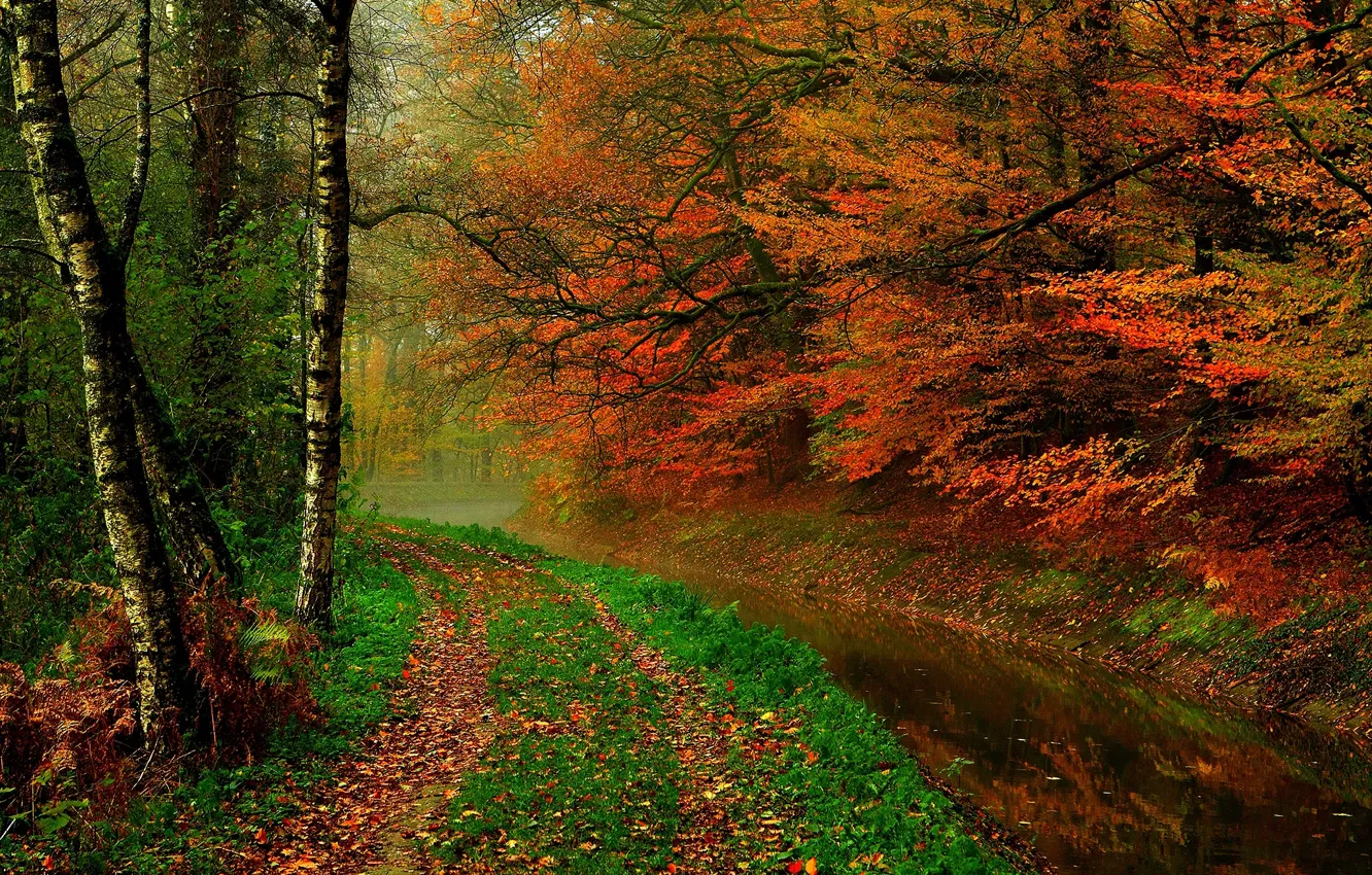 Фото обои осень, лес, листья, вода, деревья, природа, река, hdr