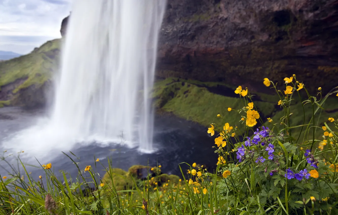Фото обои лето, цветы, природа, водопад
