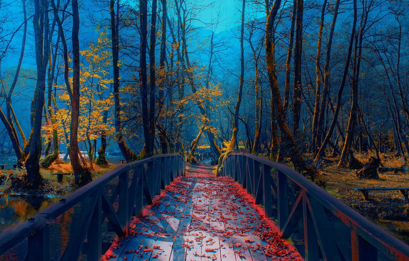 Фото обои осень, мост, парк, река, листва, Босния, Mevludin Sejmenovic