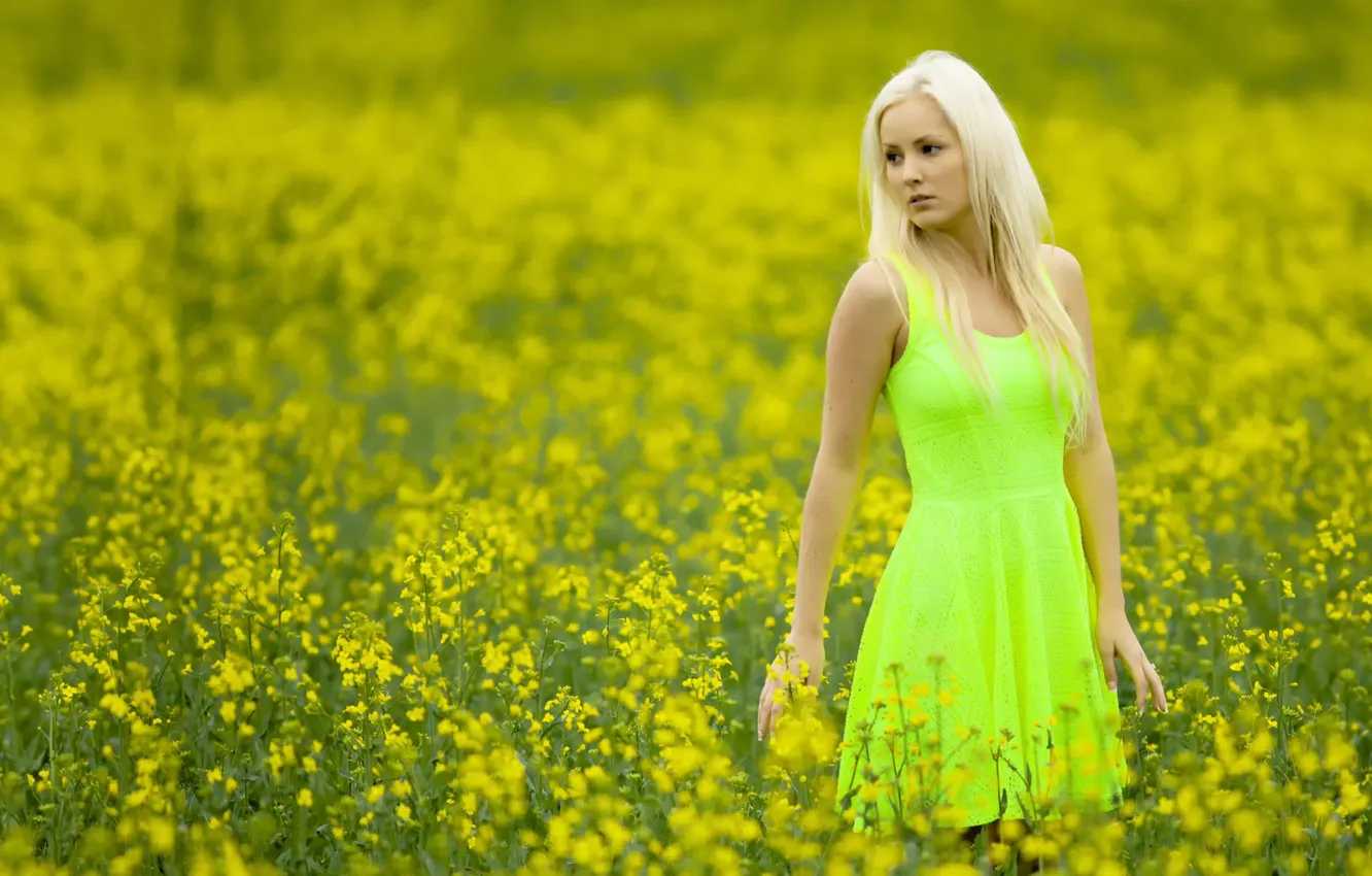 Фото обои поле, девушка, цвет, платье, Cathy