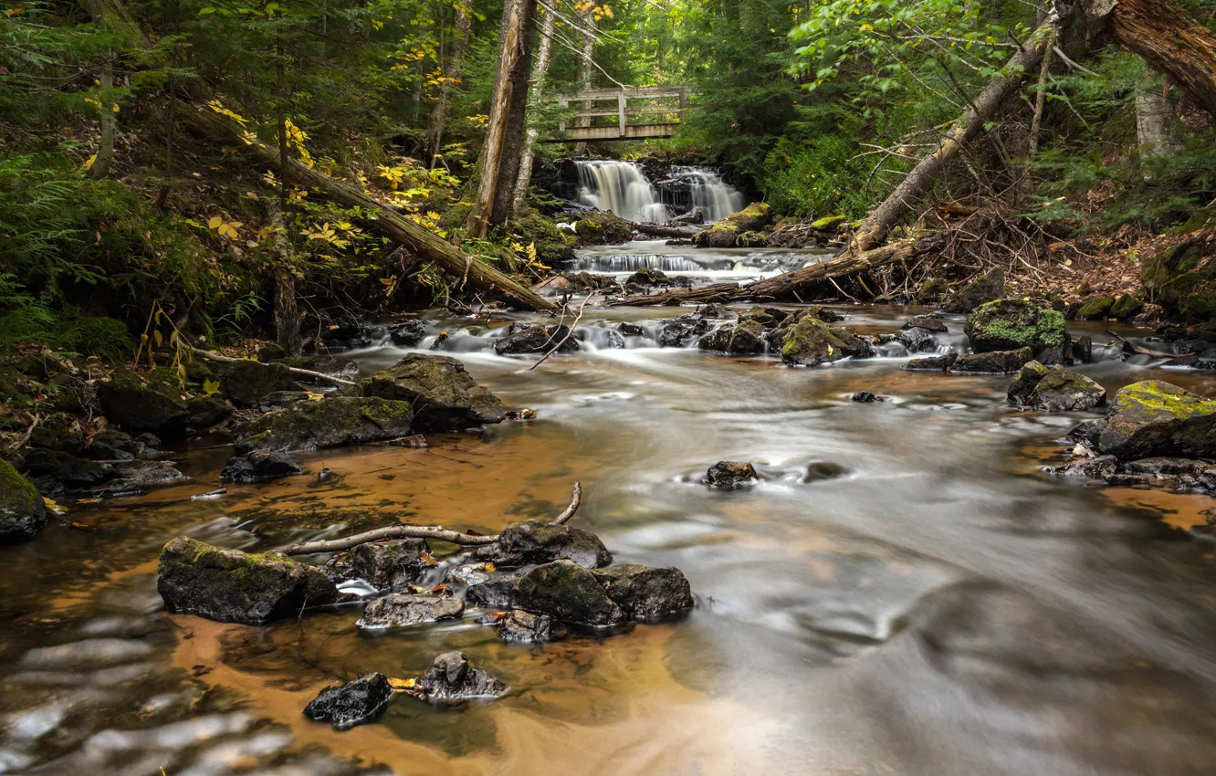 Фото обои лес, мост, река, камни, водопад, Michigan, Alger County, Chapel Falls