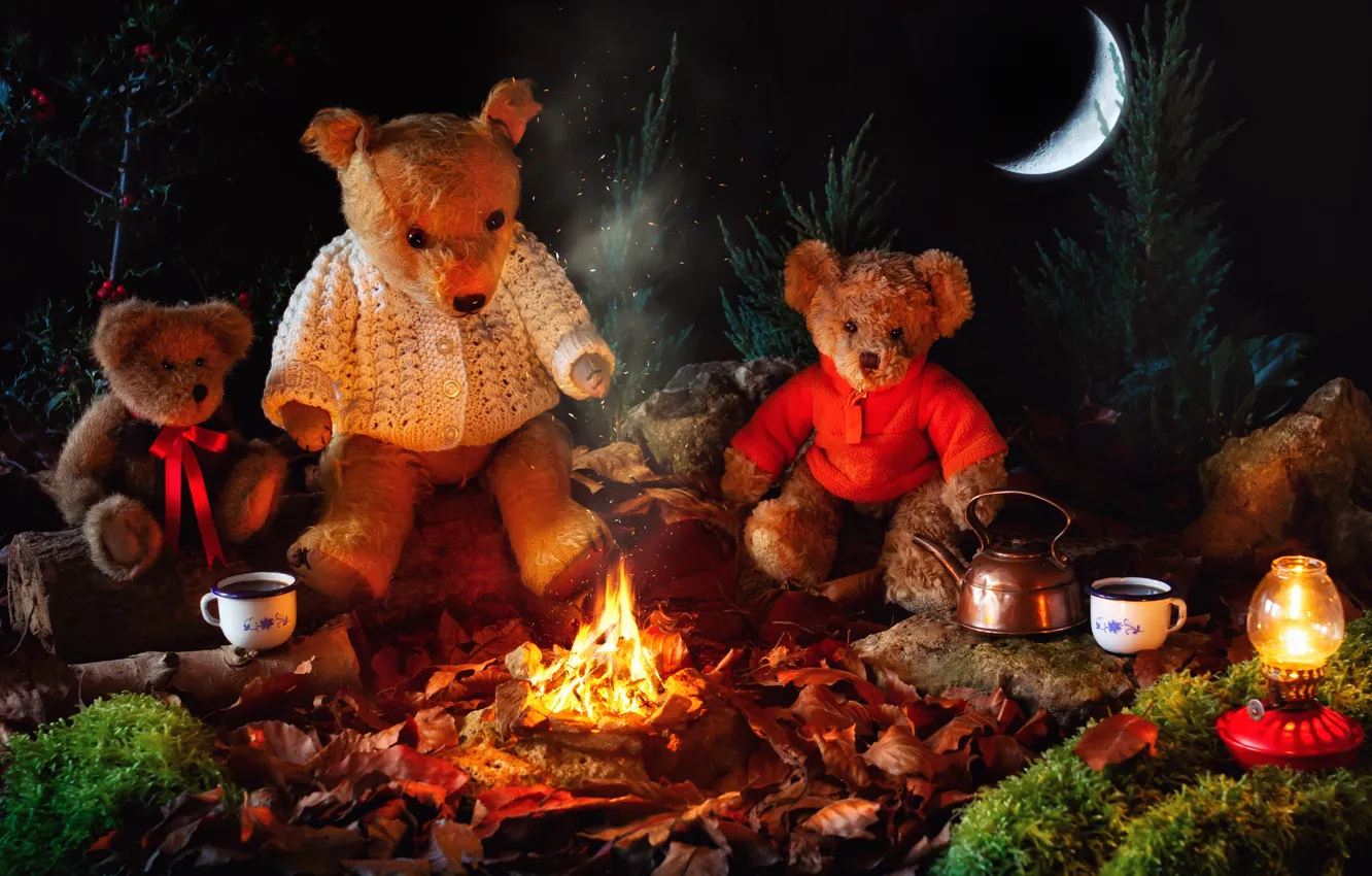 Фото обои ночь, огонь, игрушки, месяц, чайник, медведи, чашки, костёр