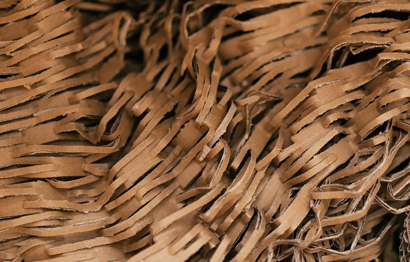 Фото обои pattern, paper, cardboard, strips, industry