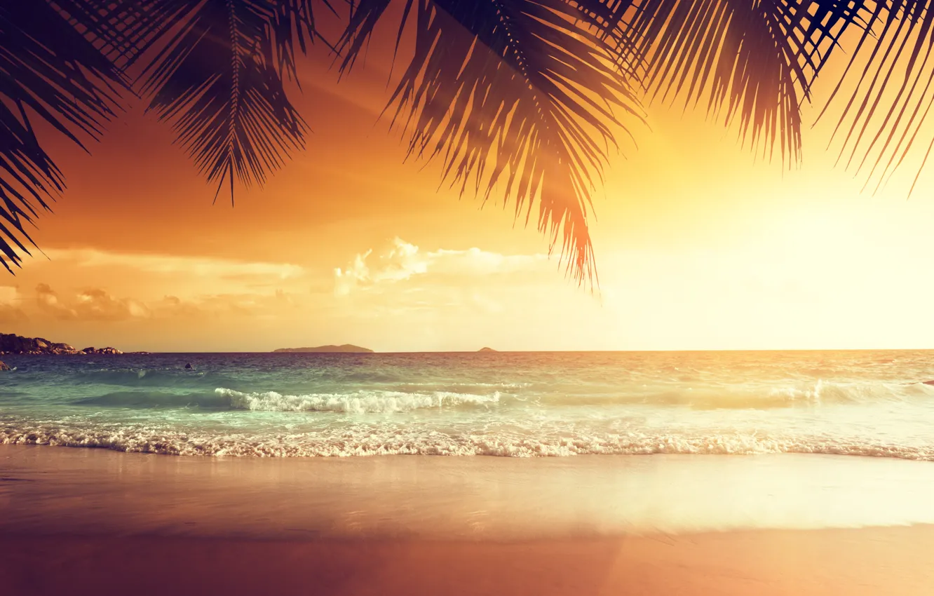 Фото обои песок, море, пляж, закат, тропики, пальмы, берег, summer