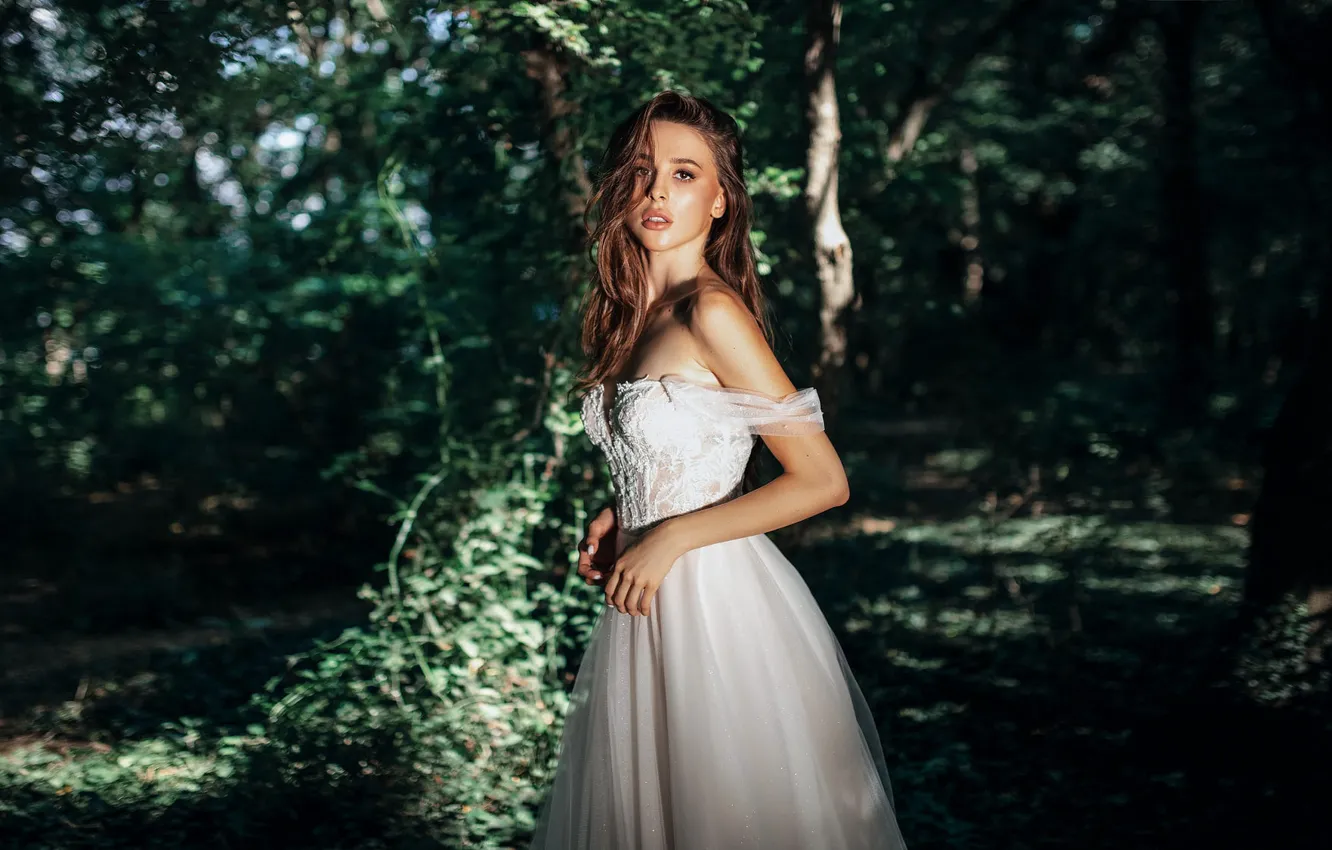 Фото обои лес, взгляд, девушка, природа, модель, платье, шатенка, Alexander Volkov