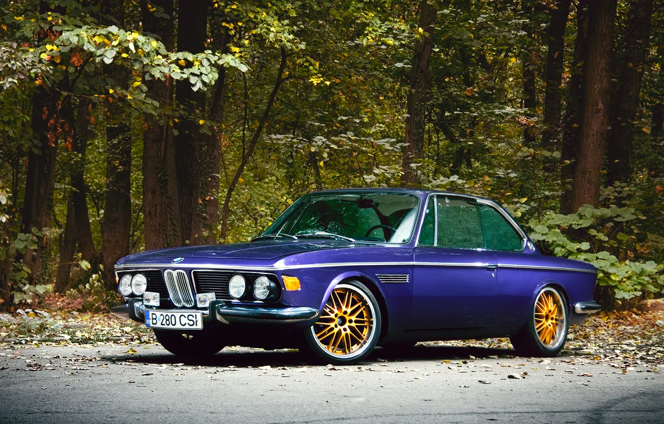 Фото обои природа, BMW, 1969