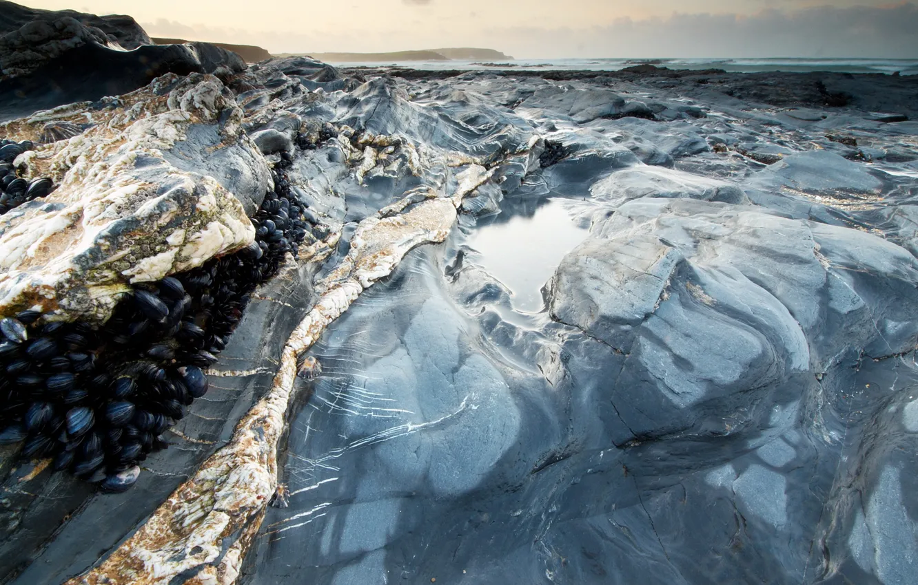 Фото обои лед, вода, камни, берег