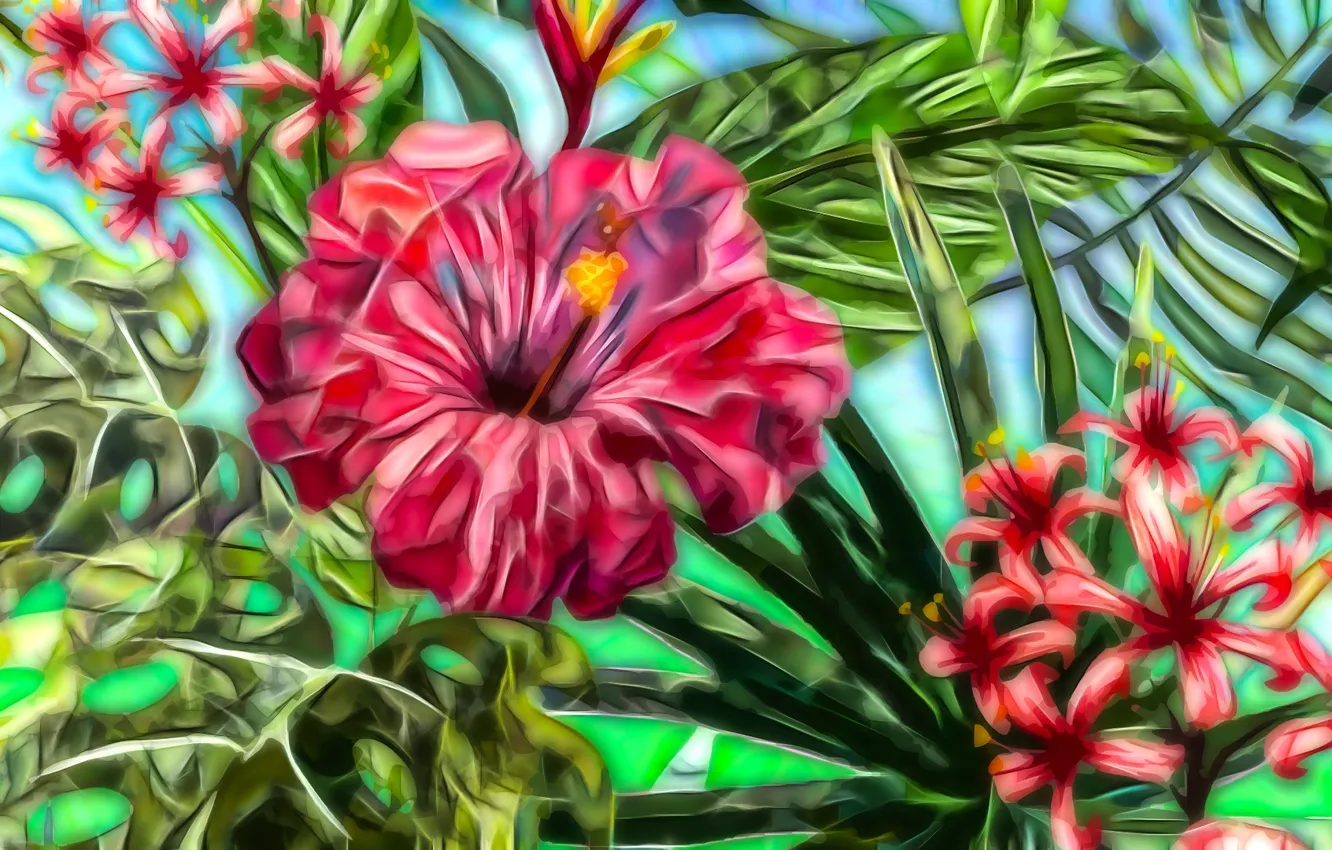 Фото обои Grafika, Kwiaty, Hibiskus