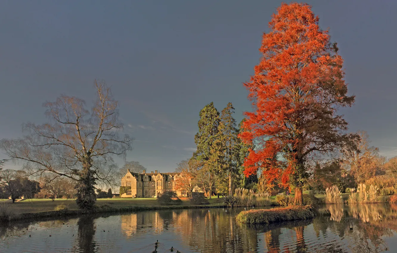 Фото обои осень, небо, деревья, пруд, замок, утки