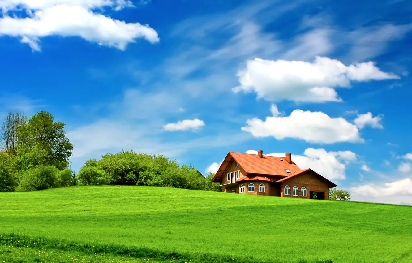 Фото обои зелень, поле, небо, трава, облака, деревья, дом, кусты