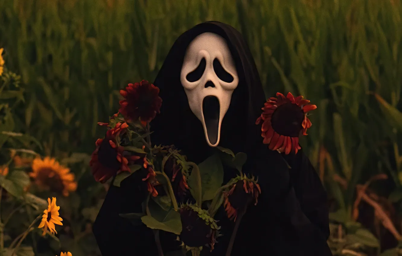 Фото обои лето, подсолнухи, урожай, summer, убийца, scream, Killer