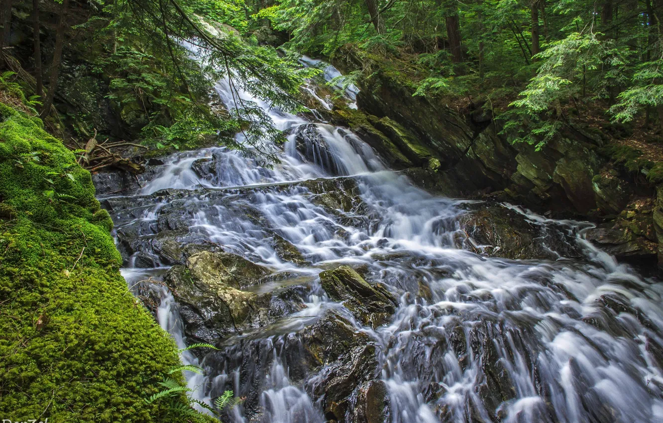 Фото обои зелень, вода, скала, водопад