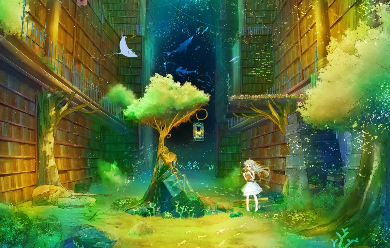 Фото обои девушка, дерево, книги, аниме, арт, фонарь, библиотека, inz