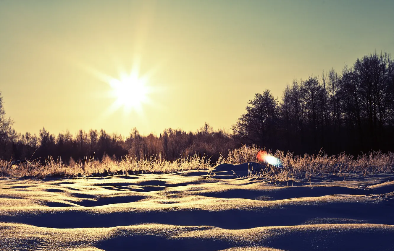 Фото обои зима, солнце, снег, деревья, природа, сугробы