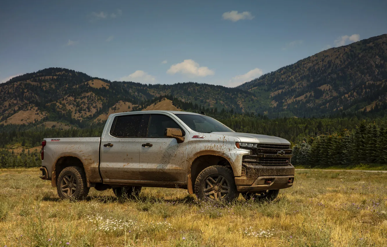 Фото обои поле, серый, Chevrolet, пикап, Silverado, Z71, Trail Boss, 2019