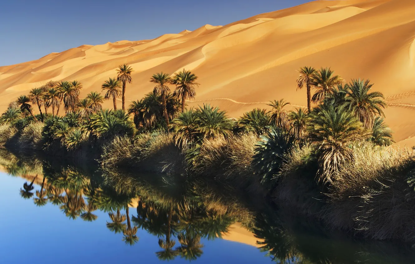Фото обои песок, небо, вода, пальмы, пустыня, оазис