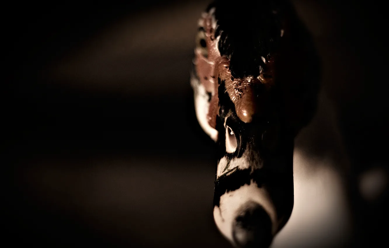 Фото обои макро, утки, нос