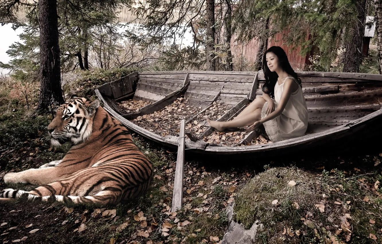 Фото обои девушка, тигр, лодка