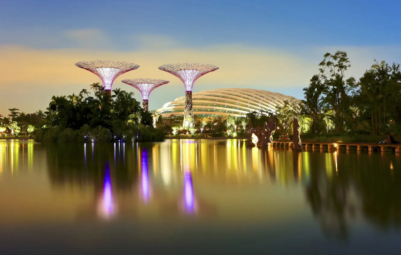 Фото обои вода, деревья, огни, отражение, вечер, Сингапур, башни, купол