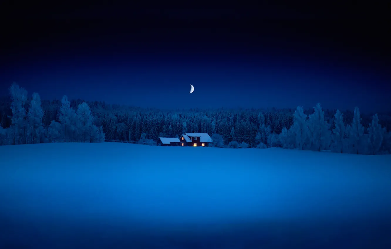 Фото обои лес, снег, ночь, месяц, домик