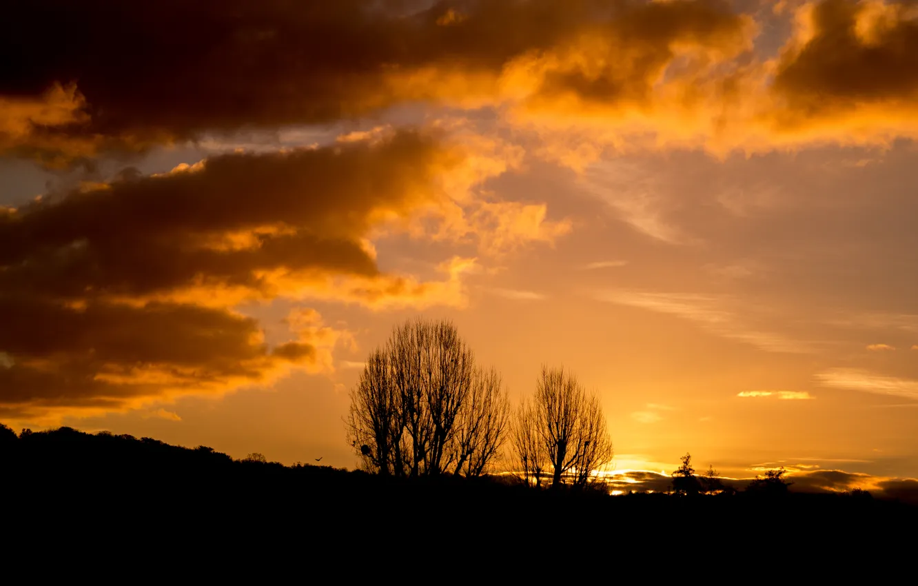 Фото обои nature, sunset, autumn, view, clouds, tree, sun, scenery