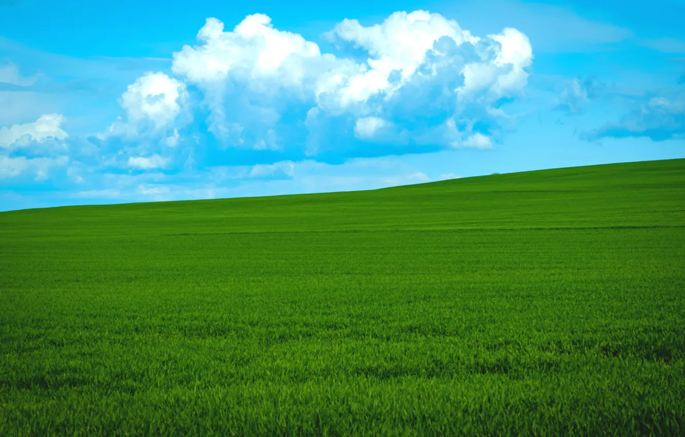 Фото обои grass, sky, field, clouds