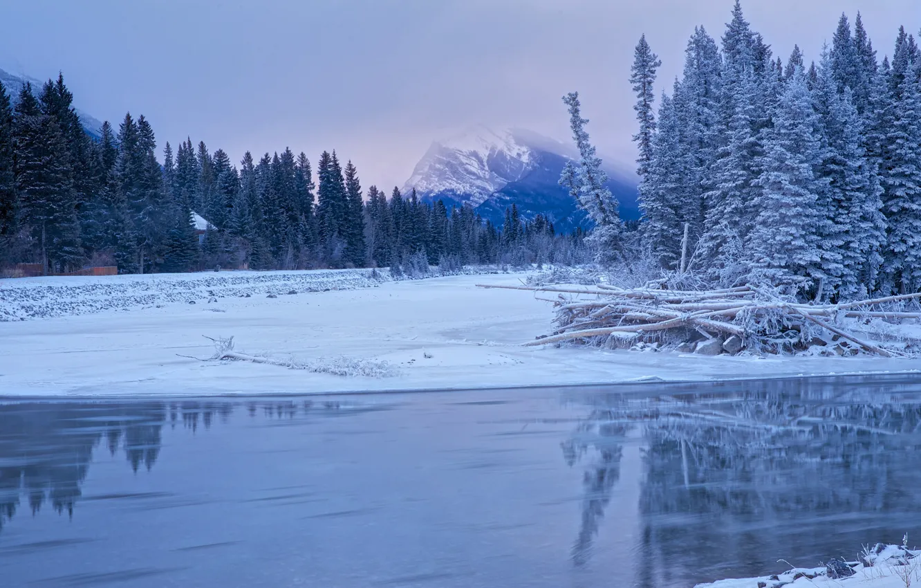 Фото обои зима, снег, деревья, пейзаж, ручей