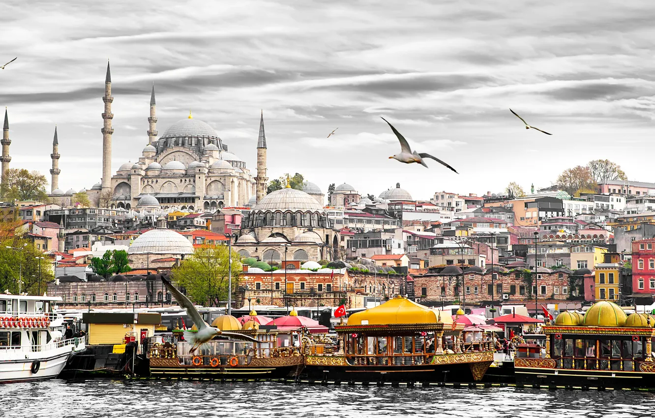 Фото обои чайки, дома, лодки, башни, катера, Стамбул, Турция, дворец