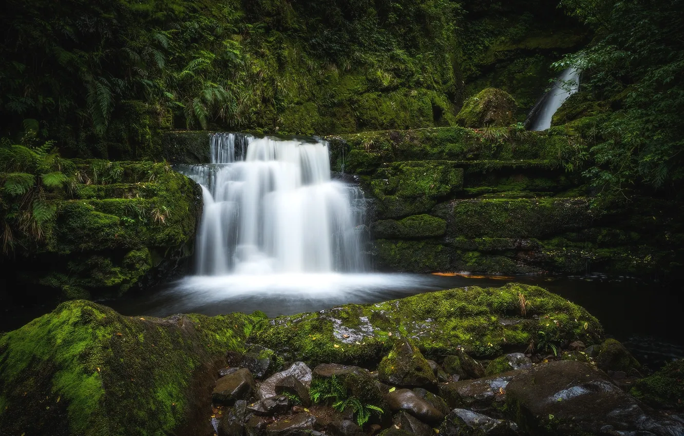 Фото обои зелень, вода, камни, водопад, мох, поток