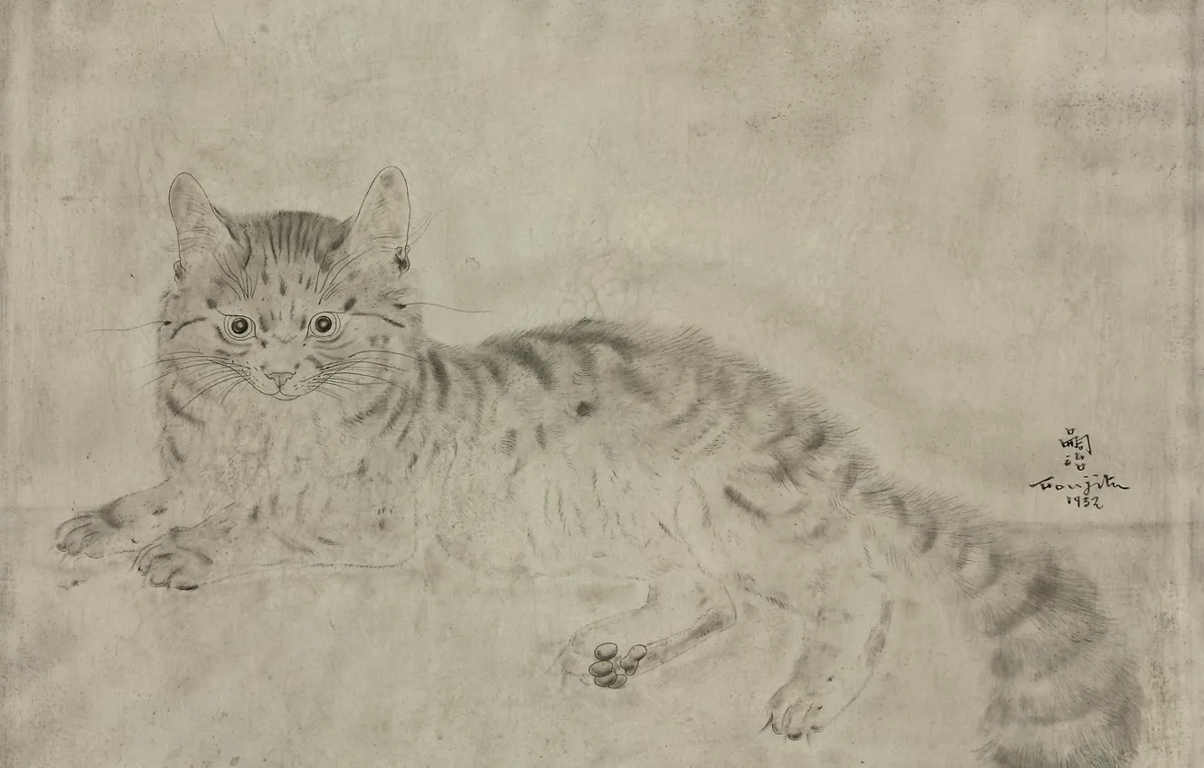 Фото обои Кошка, чёрно-белая, 1932, Tsuguharu Foujita