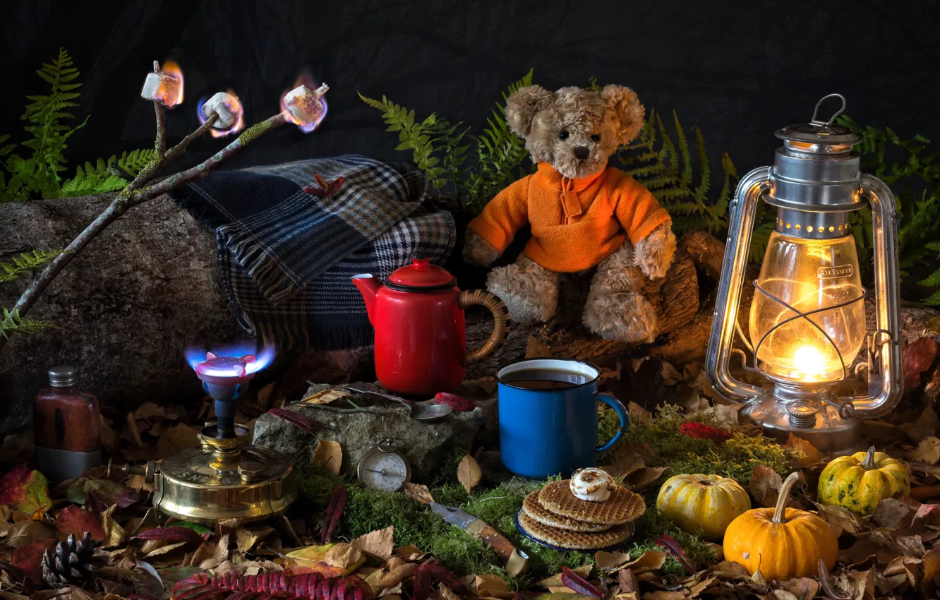 Фото обои листья, игрушка, лампа, мох, ветка, чайник, кружка, фонарь