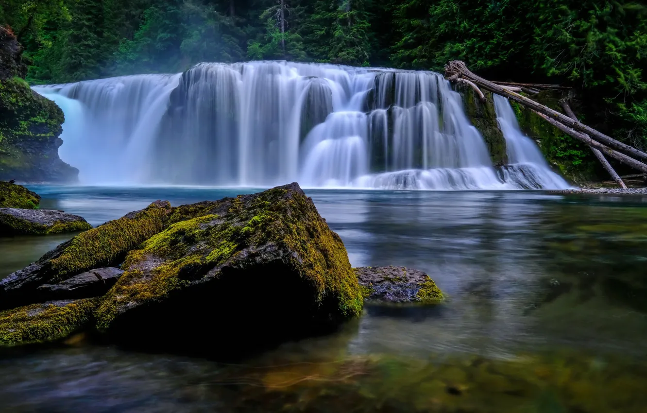 Фото обои лес, деревья, река, камни, водопад, мох, Вашингтон, США