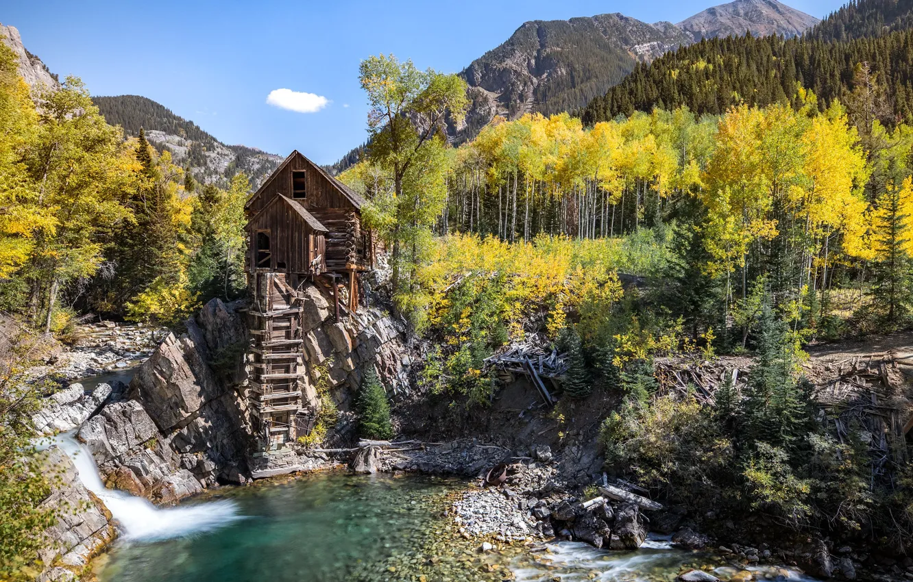 Фото обои лес, деревья, пейзаж, горы, домик