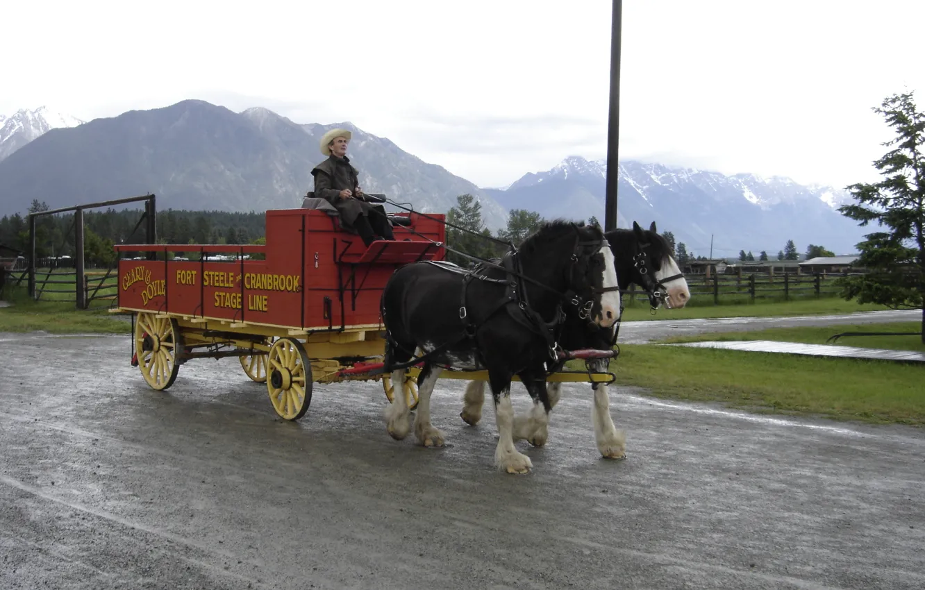 Фото обои British Columbia, wagon, Horses, B.C., cranbrook, fort steele