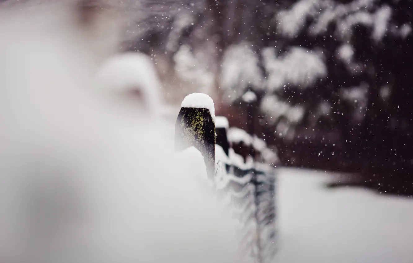 Фото обои зима, макро, снег, забор