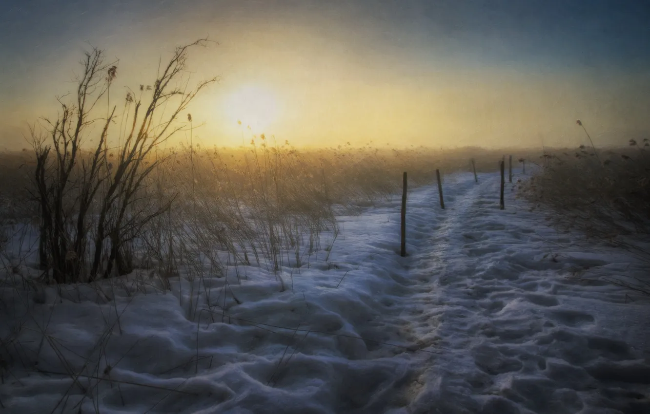 Фото обои поле, снег, пейзаж, утро
