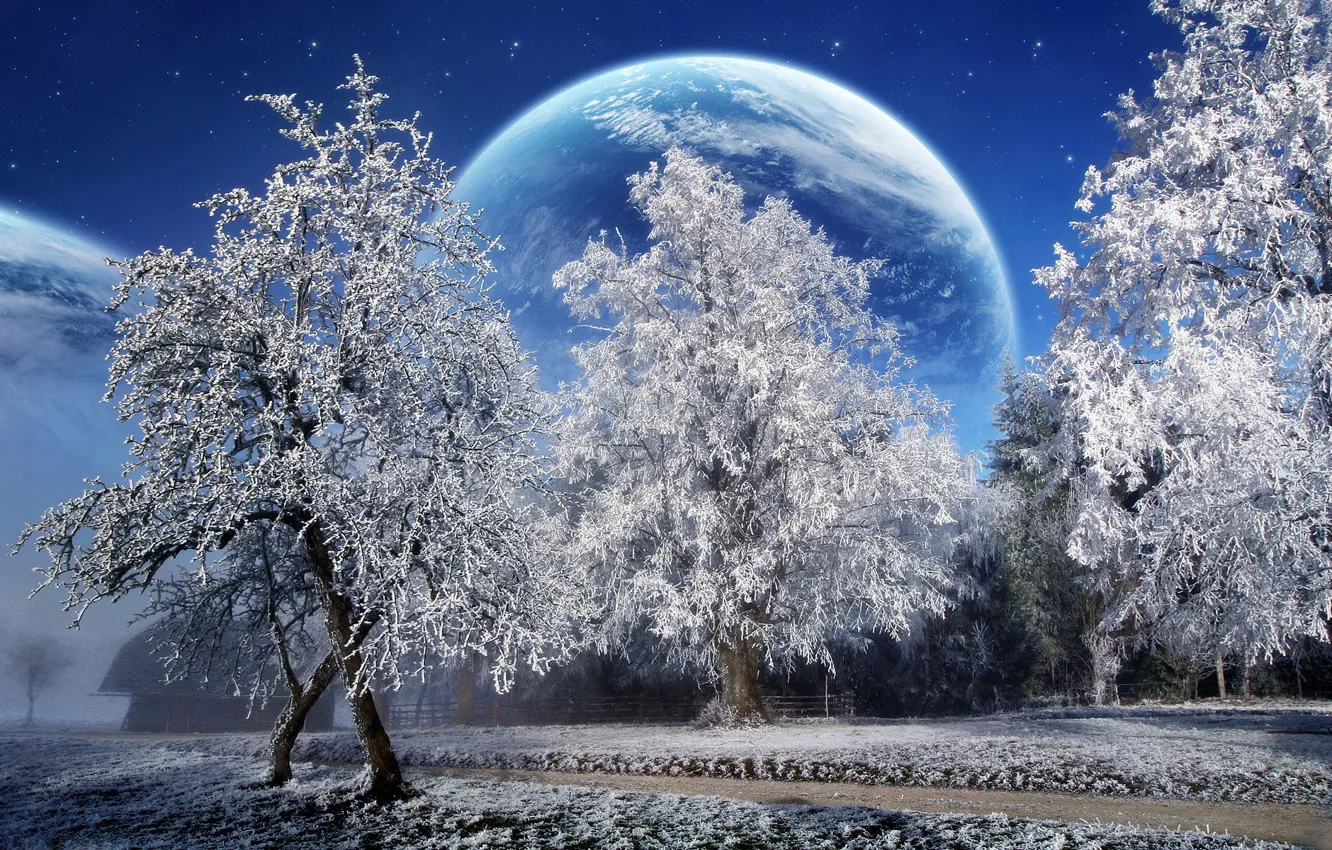 Фото обои зима, снег, деревья, планета