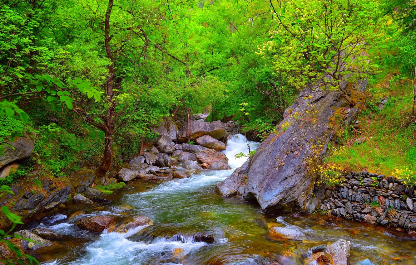 Фото обои Природа, Поток, Весна, Камни, Nature, Речка, Spring, River