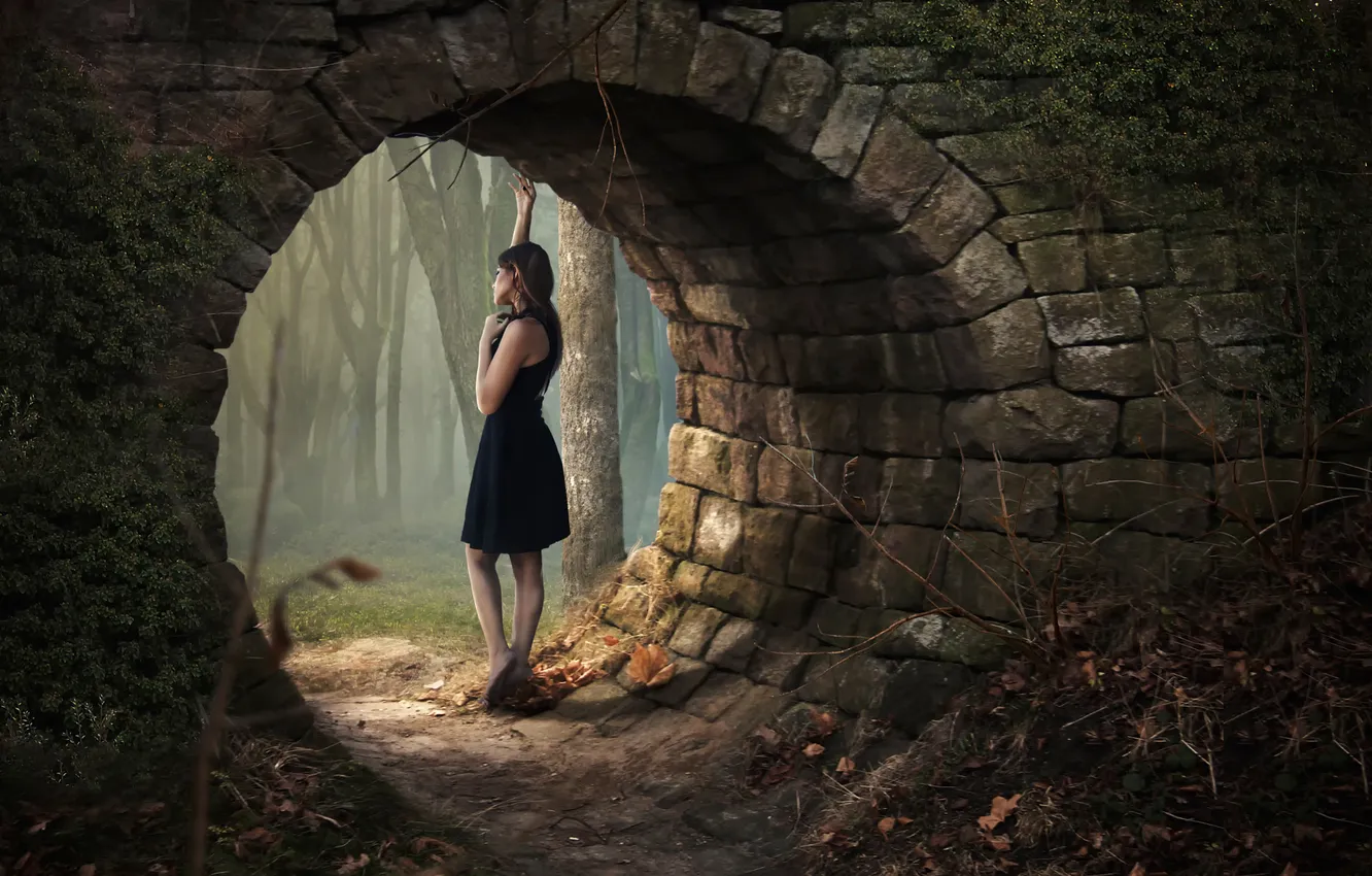 Фото обои лес, девушка, платье, Alone