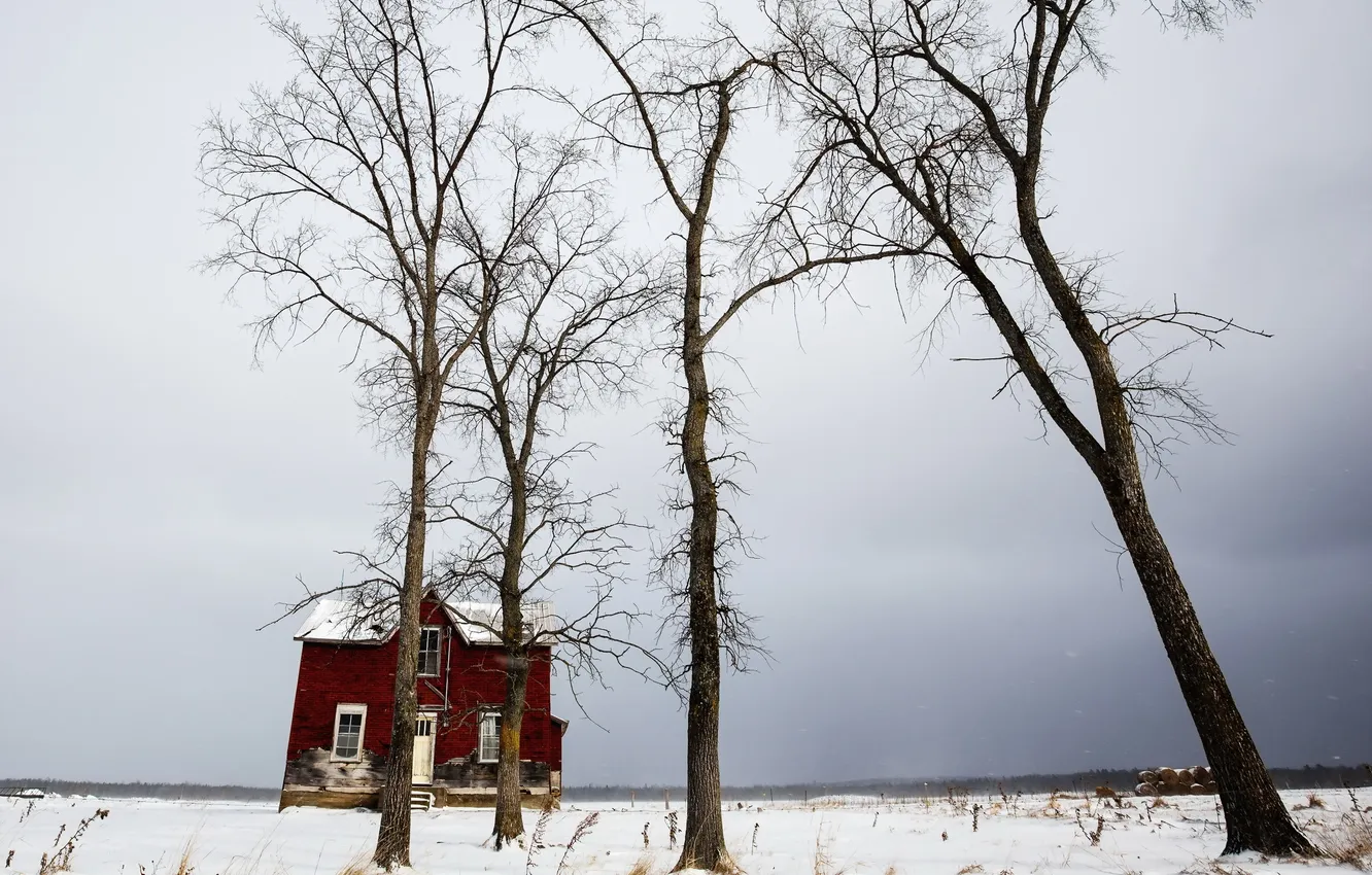 Фото обои зима, деревья, дом